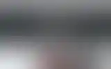 Blurred archive preview