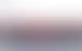 Blurred archive preview