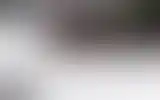 Blurred archive preview