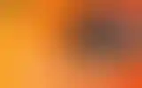 Blurred archive preview