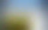 Blurred archive preview