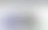 Blurred archive preview