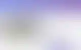 Blurred archive preview
