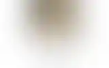 Blurred archive preview