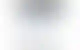 Blurred archive preview