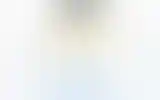 Blurred archive preview