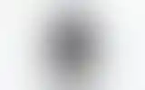 Blurred archive preview