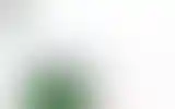 Blurred archive preview