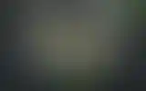 Blurred archive preview