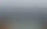 Blurred archive preview