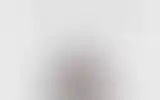 Blurred archive preview