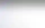 Blurred archive preview