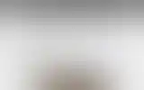 Blurred archive preview