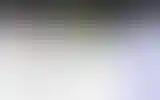 Blurred archive preview