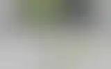 Blurred archive preview