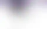 Blurred archive preview