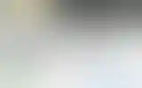 Blurred archive preview