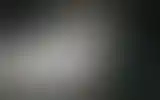 Blurred archive preview