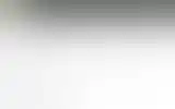 Blurred archive preview