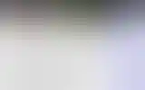 Blurred archive preview