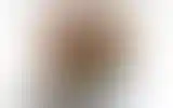 Blurred archive preview