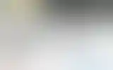Blurred archive preview