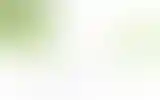 Blurred archive preview