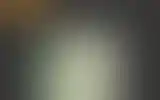 Blurred archive preview