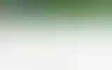 Blurred archive preview