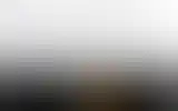 Blurred archive preview