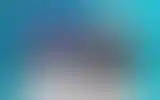 Blurred archive preview