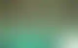 Blurred archive preview
