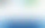 Blurred archive preview