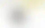 Blurred archive preview