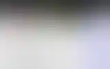 Blurred archive preview