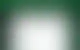 Blurred archive preview