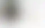 Blurred archive preview