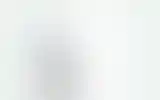 Blurred archive preview