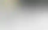 Blurred archive preview