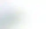Blurred archive preview
