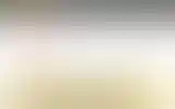 Blurred archive preview