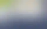Blurred archive preview