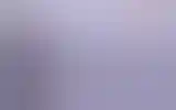 Blurred archive preview