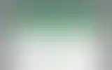 Blurred archive preview