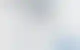 Blurred archive preview