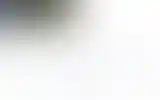 Blurred archive preview