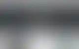 Blurred archive preview