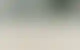 Blurred archive preview