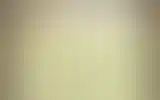 Blurred archive preview