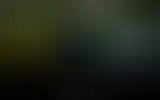 Blurred archive preview